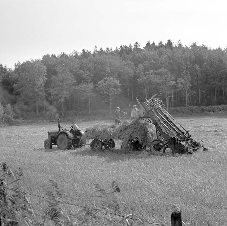 Ödsmål 1961.jpg