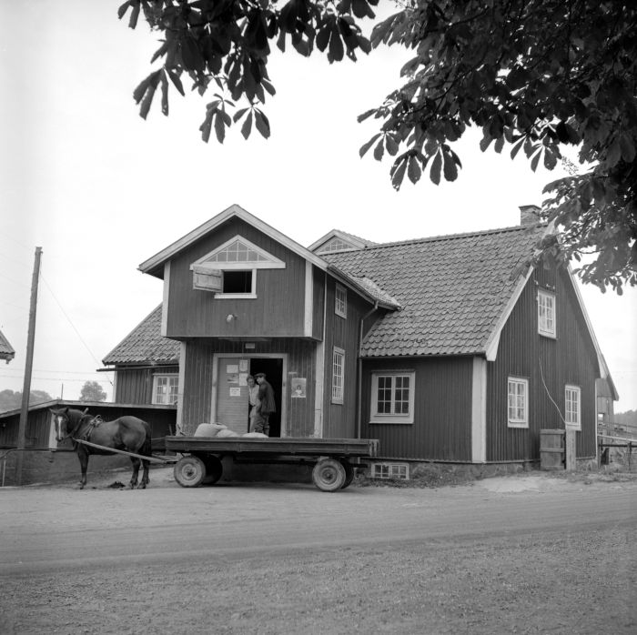 Rakered 1955.jpg