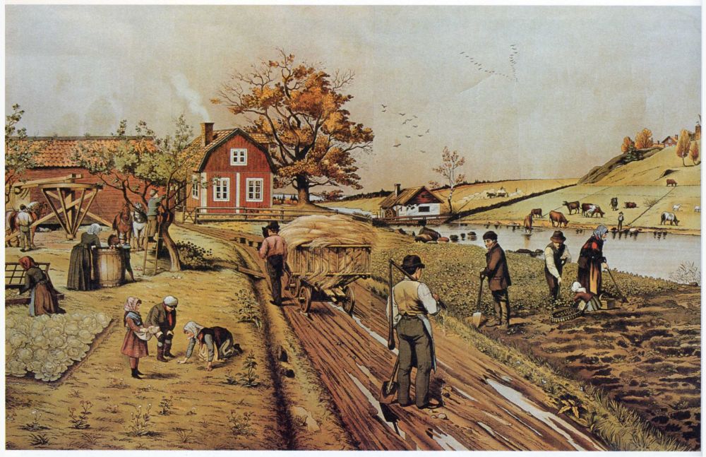 Höst på landet.jpeg