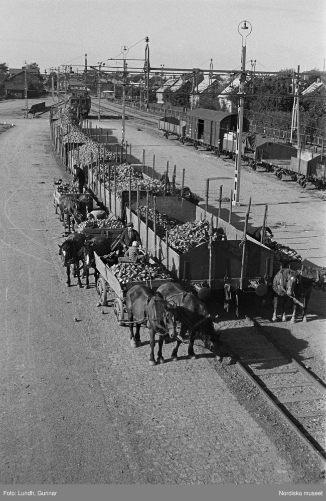 Höganäs 1938.jpg